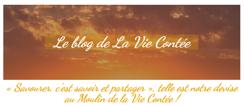Visuel du blog du site Site web La Vie Contée : Savoir et partager