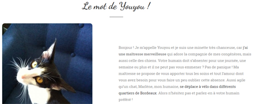 Visuel : Cyclo pet's - conciergerie animale bordelaise - pet sitting - le mot de Youyou