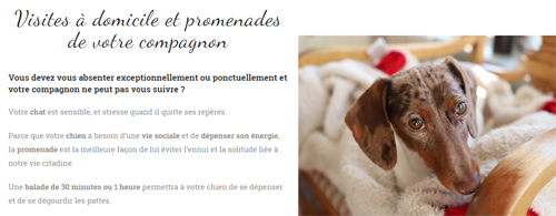 Visuel du site Cyclo pet's - conciergerie animale bordelaise - pet sitting - présentation des prestations