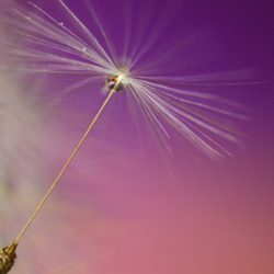 La Griffe Éditoriale – Actualités, événements, articles La Griffe Éditoriale - Actualités, événements, articles